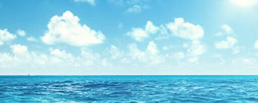 Portfolio Themis Mignon